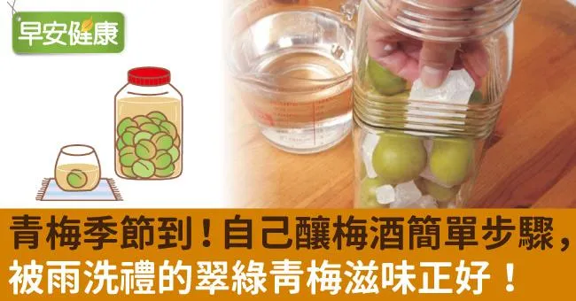 青梅季節到！自己釀梅酒簡單步驟，被雨洗禮的翠綠青梅滋味正好！