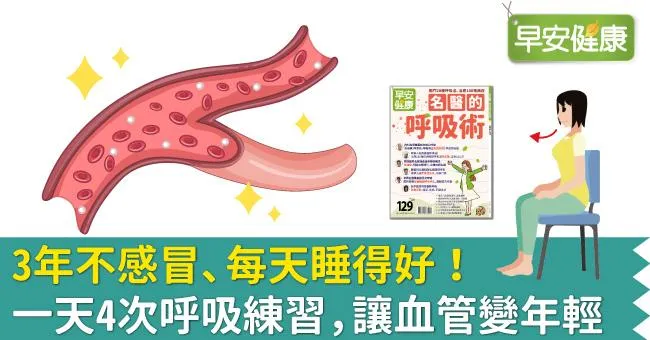 3年不感冒、每天睡得好！一天4次呼吸練習，讓血管變年輕