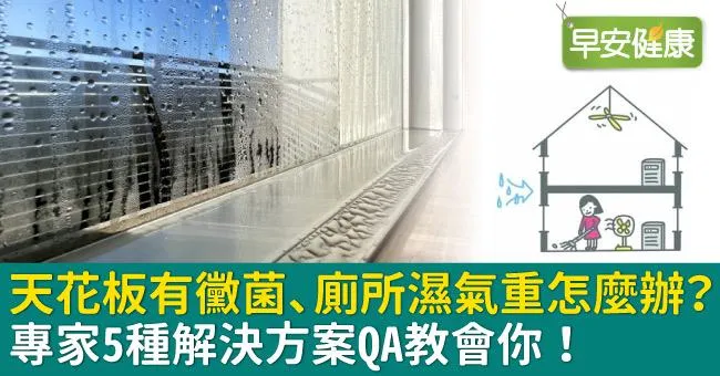 天花板有黴菌、廁所濕氣重怎麼辦？專家5種解決方案QA教會你！