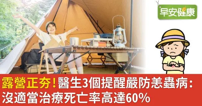 露營正夯！醫生3個提醒嚴防恙蟲病：沒適當治療死亡率高達60％