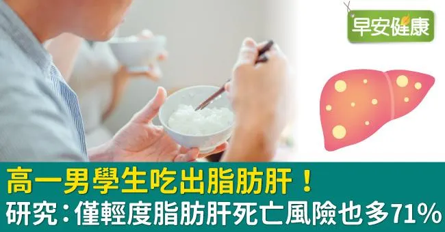 高一男學生吃出脂肪肝！研究：僅輕度脂肪肝死亡風險也多71％