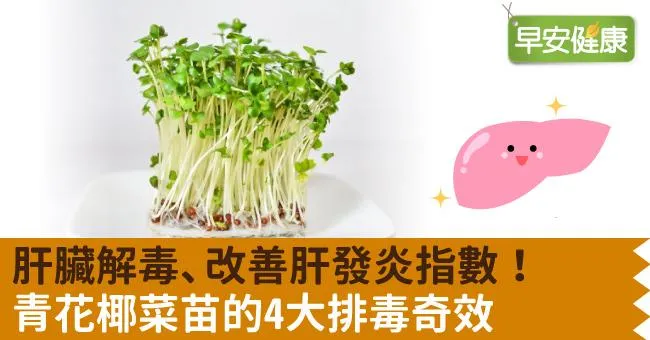 肝臟解毒、改善肝發炎指數！青花椰菜苗的4大排毒奇效