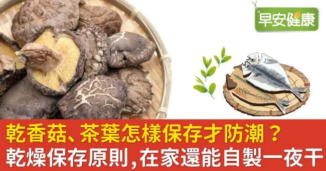 乾香菇、茶葉怎樣保存才防潮？乾燥保存原則，在家還能自製一夜干