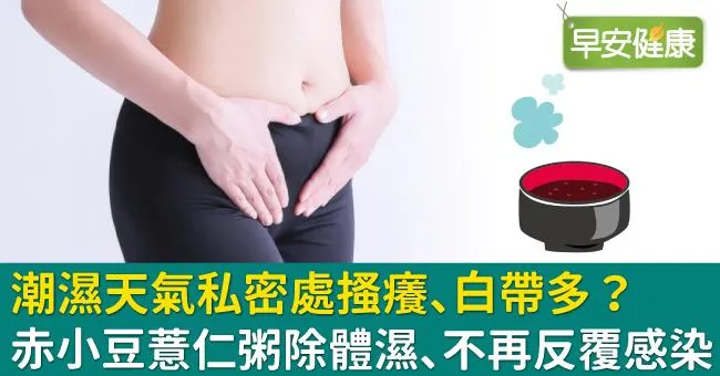 潮濕天氣私密處搔癢、白帶多？赤小豆薏仁粥除體濕、不再反覆感染