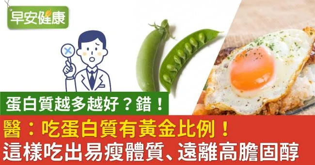 醫：吃蛋白質有黃金比例！這樣吃出易瘦體質、遠離高膽固醇
