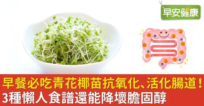 早餐必吃青花椰苗抗氧化、活化腸道！3種懶人食譜還能降壞膽固醇