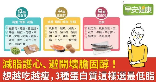 減脂護心、避開壞膽固醇！想越吃越瘦，3種蛋白質這樣選最低脂