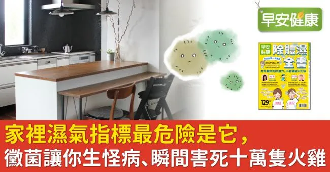 家裡濕氣指標最危險是它，黴菌讓你生怪病、瞬間害死十萬隻火雞