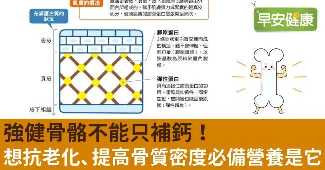 強健骨骼不能只補鈣！想抗老化、提高骨質密度必備營養是它