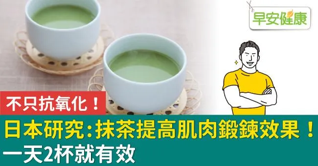 不只抗氧化！日本研究：抹茶提高肌肉鍛鍊效果！一天2杯就有效