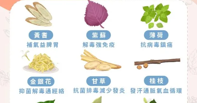 黃耆補氣、紫蘇解毒！防疫茶「9大抗病配方」加強免疫力