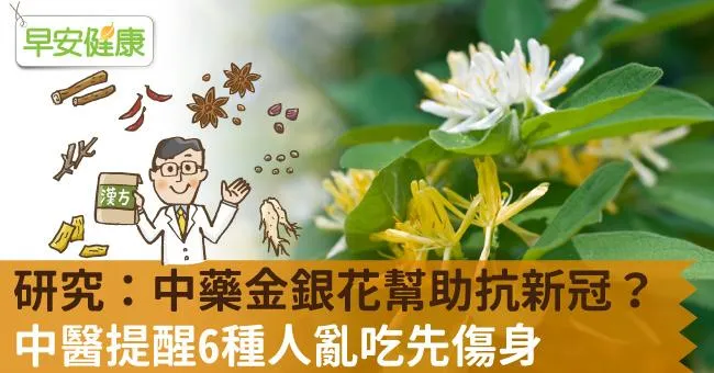 研究：中藥金銀花幫助抗新冠？中醫提醒6種人亂吃先傷身