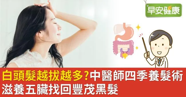 白頭髮越拔越多？中醫師四季養髮術，滋養五臟找回豐茂黑髮