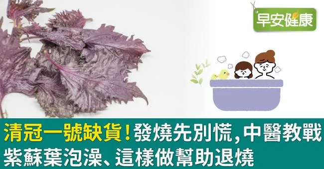 清冠一號缺貨！發燒先別慌，中醫教戰紫蘇葉泡澡、這樣做幫助退燒