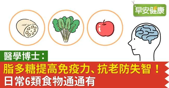 醫學博士：脂多糖提高免疫力、抗老防失智！日常6類食物通通有
