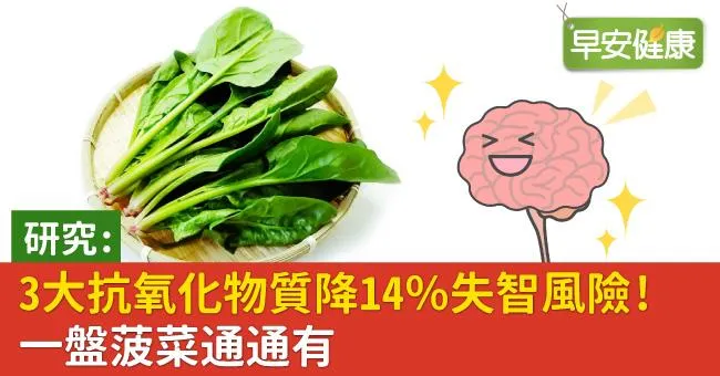 研究：3大抗氧化物質降14％失智風險！一盤菠菜通通有