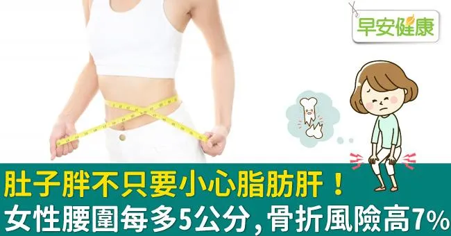 肚子胖不只要小心脂肪肝！女性腰圍每多5公分，骨折風險高7％