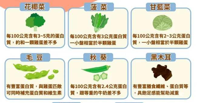 減肥吃蛋白質，復胖率最低！8種高蛋白蔬菜也能吃出易瘦體質