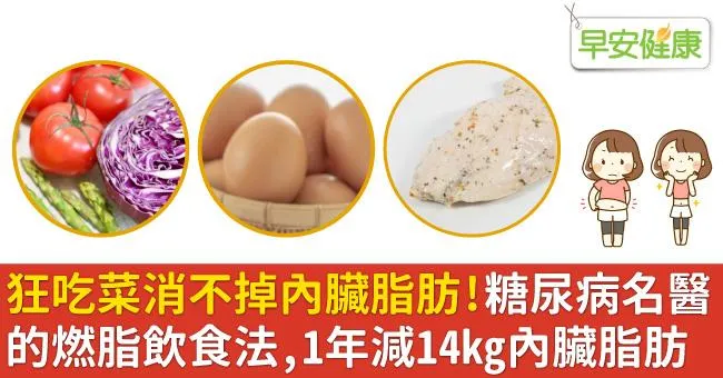 狂吃菜消不掉內臟脂肪！糖尿病名醫的燃脂飲食法，1年減14kg內臟脂肪
