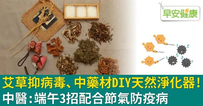 艾草抑病毒、中藥材DIY天然淨化器！中醫：端午3招配合節氣防疫病