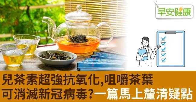 兒茶素超強抗氧化，咀嚼茶葉可消滅新冠病毒？一篇馬上釐清疑點