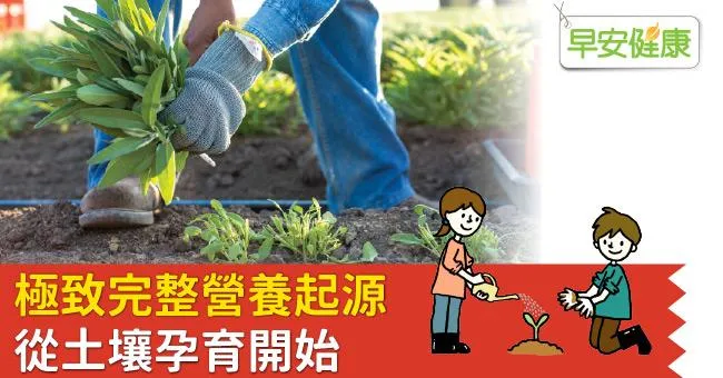 極致完整營養起源　從土壤孕育開始