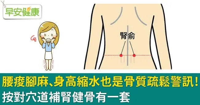 腰痠腳麻、身高縮水也是骨質疏鬆警訊！按對穴道補腎健骨有一套