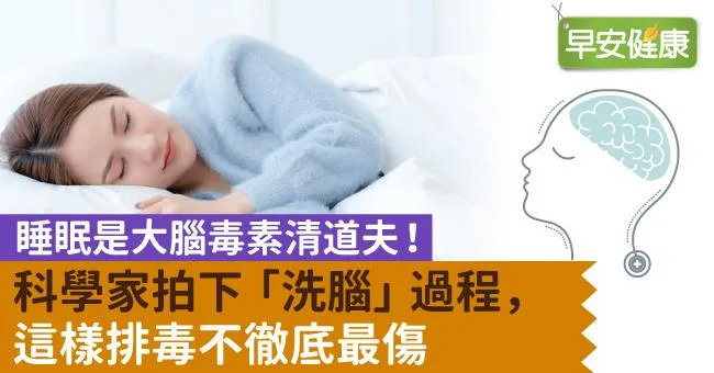 睡眠是大腦毒素清道夫！科學家拍下「洗腦」過程，這樣排毒不徹底最傷