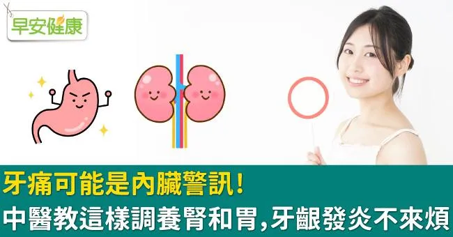 牙痛可能是內臟警訊！中醫教這樣調養腎和胃，牙齦發炎不來煩