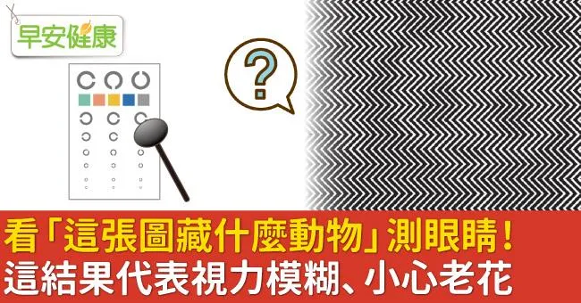 看「這張圖藏什麼動物」測眼睛！這結果代表視力模糊、小心老花
