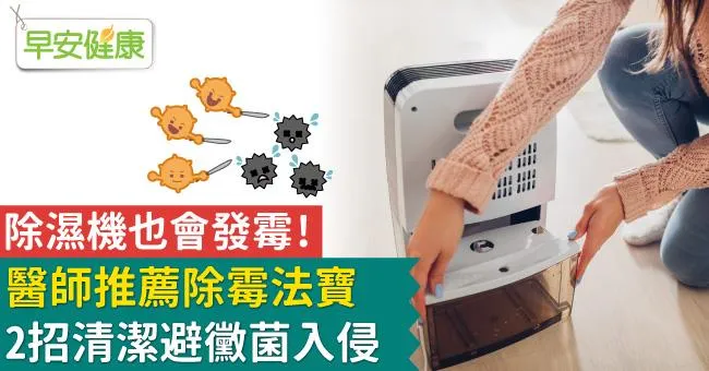 除濕機也會發霉！醫師推薦除霉法寶，2招清潔避黴菌入侵