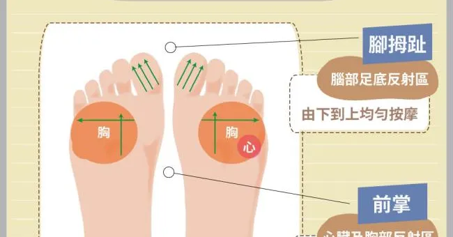 放鬆大腦，按按腳底能辦到！腳底反射區按摩，3分鐘養心活腦