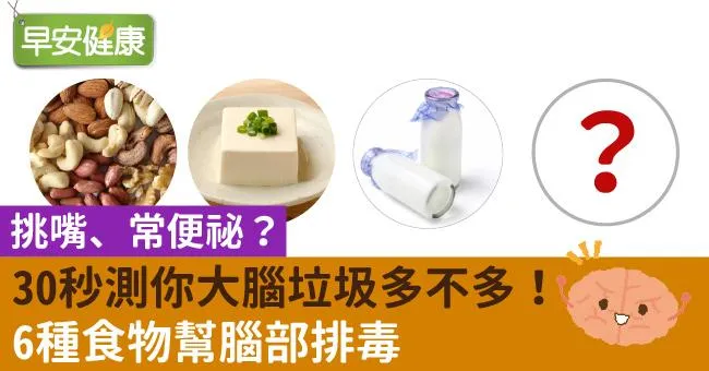 挑嘴、常便祕？30秒測你大腦垃圾多不多！6種食物幫腦部排毒