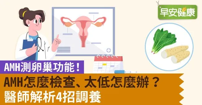 AMH測卵巢功能！AMH怎麼檢查、太低怎麼辦？醫師解析4招調養