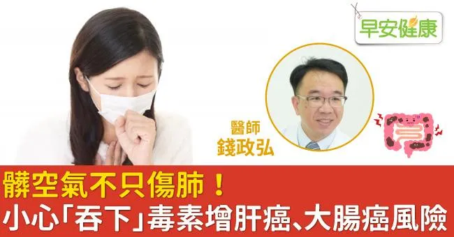 髒空氣不只傷肺！小心「吞下」毒素增肝癌、大腸癌風險