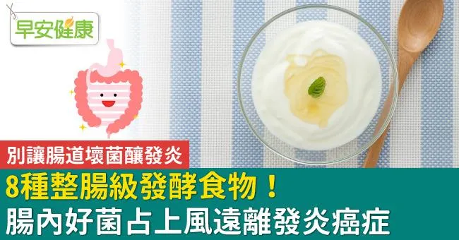 8種整腸級發酵食物！腸內好菌占上風遠離發炎癌症