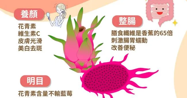 膳食纖維是香蕉的65倍！火龍果讓你一天便3次，4大好處馬上掌握