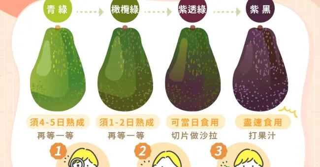 別被酪梨外表騙了！一張圖秒懂酪梨完美熟度，不再被酪梨「裝熟」