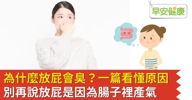 為什麼放屁會臭？一篇看懂原因，別再說放屁是因為腸子裡產氣