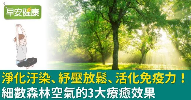 淨化汙染、紓壓放鬆、活化免疫力！細數森林空氣的3大療癒效果