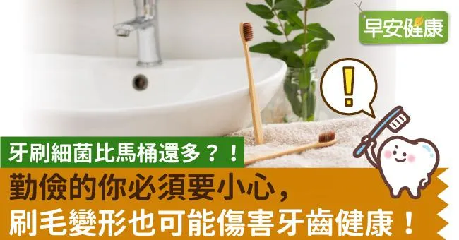 牙刷細菌比馬桶還多？！勤儉的你必須要小心，刷毛變形也可能傷害牙齒健康！