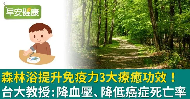 森林浴提升免疫力3大療癒功效！台大教授：降血壓、降低癌症死亡率