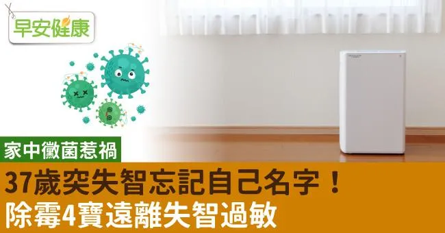37歲突失智忘記自己名字！竟是家中黴菌惹禍⋯除霉4寶遠離失智過敏