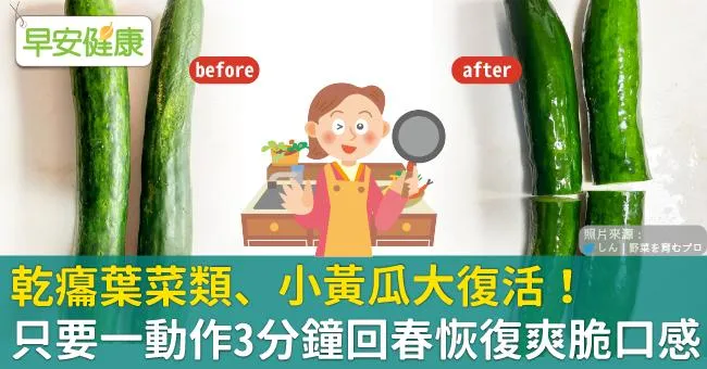 乾癟葉菜類、小黃瓜大復活！只要一動作3分鐘回春恢復爽脆口感