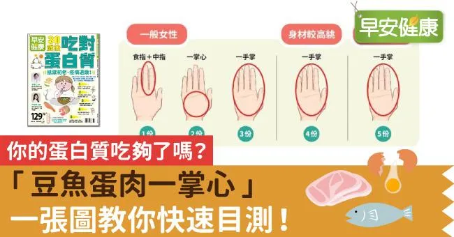你的蛋白質吃夠了嗎？「豆魚蛋肉一掌心」一張圖教你快速目測！