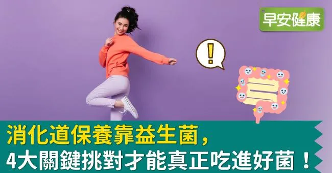 消化道保養靠益生菌，4大關鍵挑對才能真正吃進好菌！