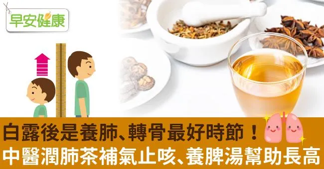 《節氣知味》白露後是養肺、轉骨最好時節！中醫潤肺茶補氣止咳、養脾湯幫助長高
