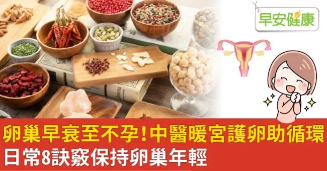 卵巢早衰致不孕！中醫暖宮護卵助循環、日常8訣竅保持卵巢年輕