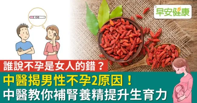 誰說不孕是女人的錯？中醫揭男性不孕2原因！中醫教你補腎養精提升生育力