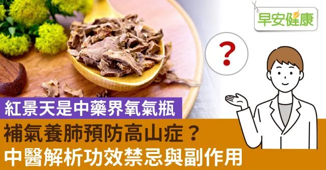 紅景天是中藥界氧氣瓶，補氣養肺預防高山症？中醫解析功效禁忌與副作用